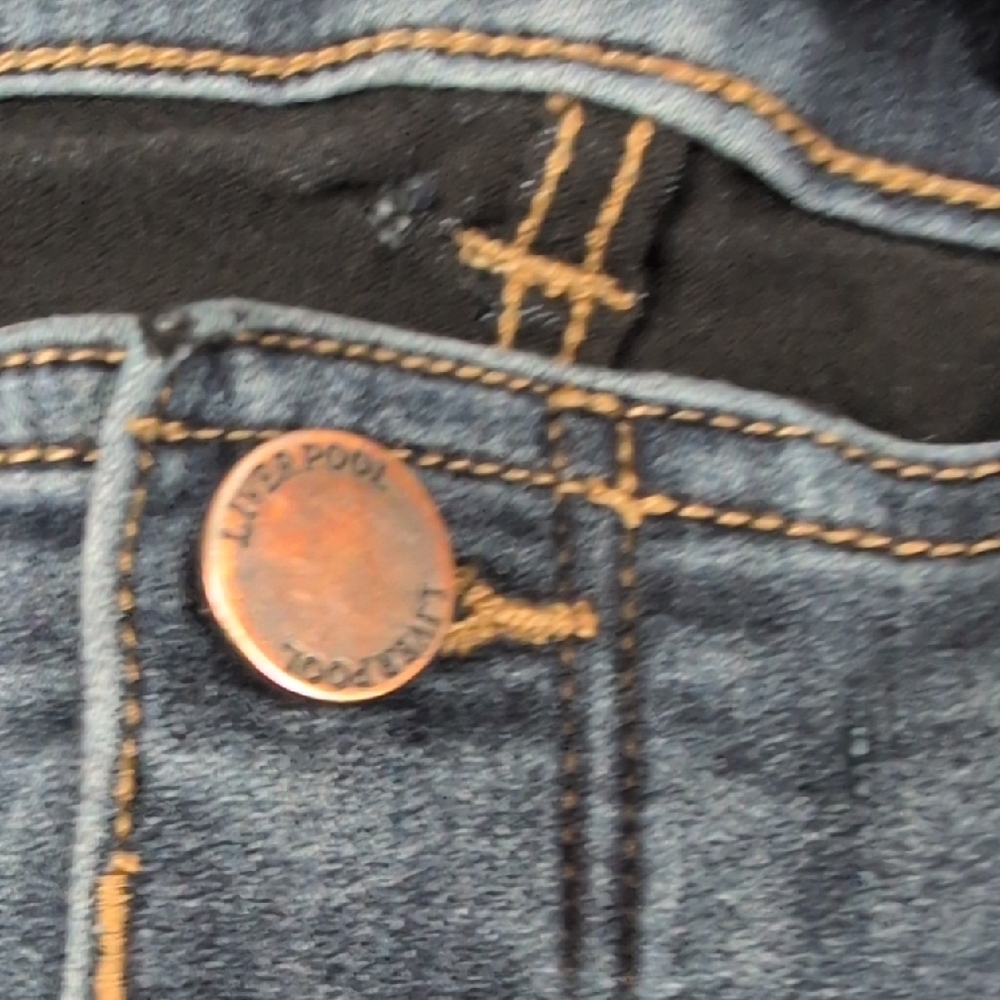 Liverpool Los Angeles "The Skinny" Jeggings - Size 16/33​ - Picture 5 of 15